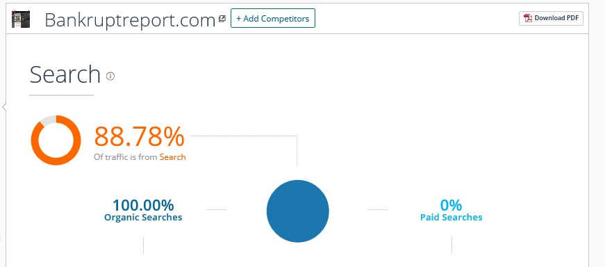 BankrupReport.com Traffic Origin